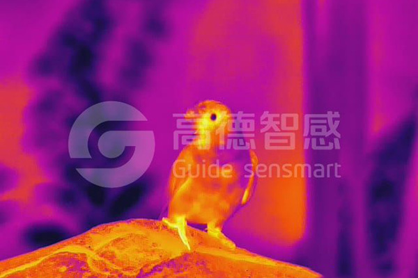 什么樣的紅外熱像儀值得選擇呢？