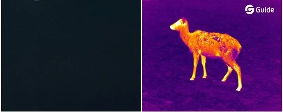 7.png.jpg