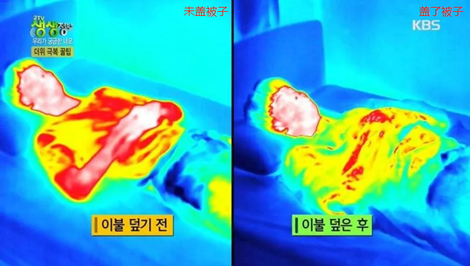 紅外熱像儀檢測出夏季蓋棉被睡覺可以降溫？謬論！.png