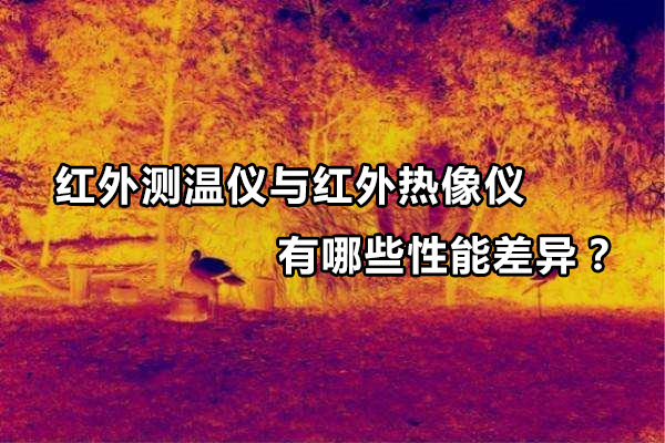 紅外測溫儀與紅外熱像儀有哪些性能差異？
